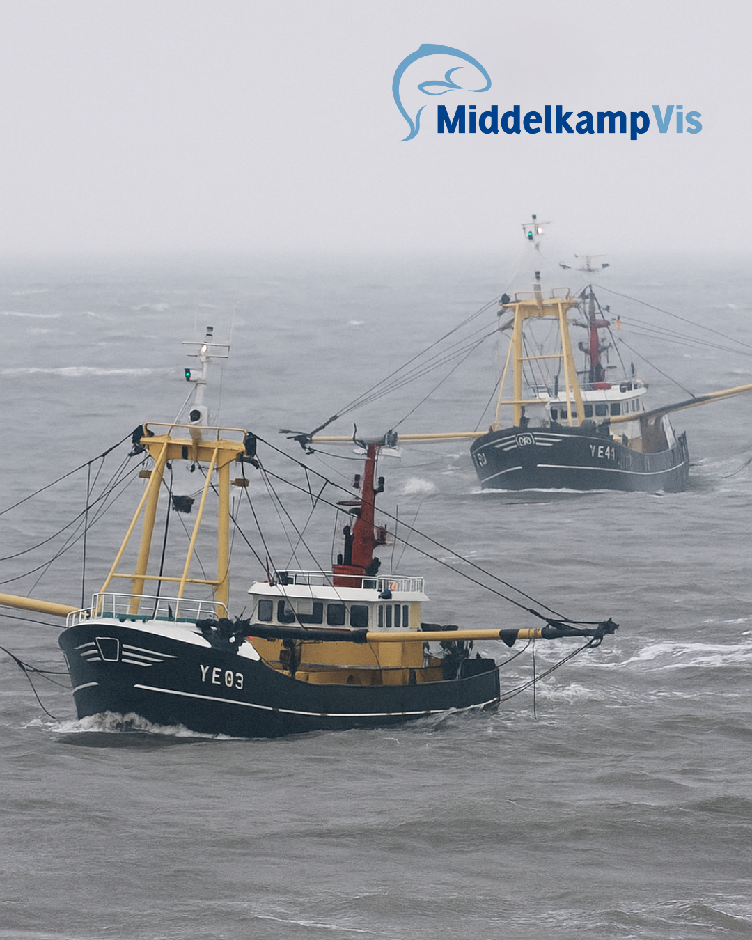Noordzeevis in het seizoen: duurzaam, vers en vol smaak