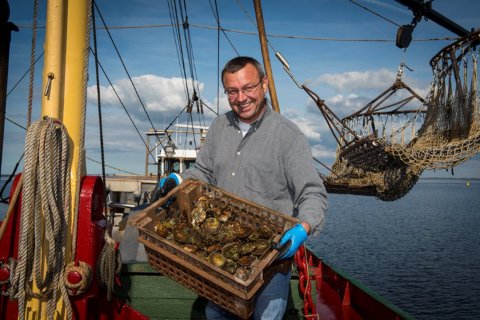 oesters vangen