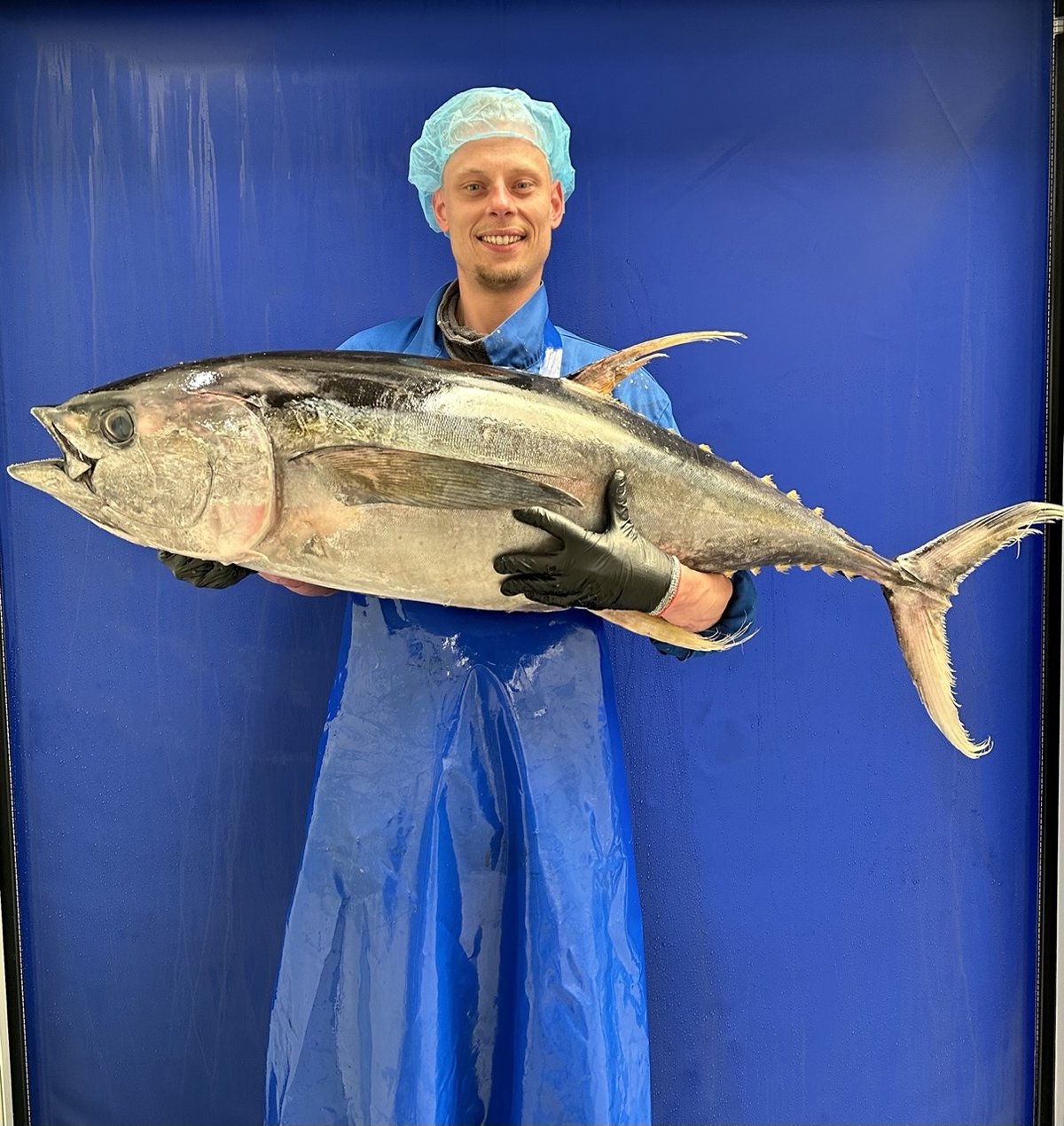 yellowfin tonijn