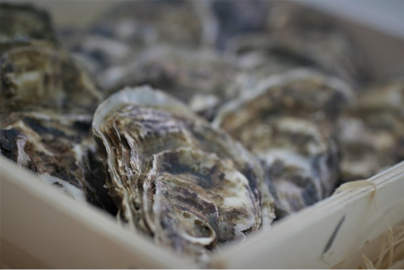 De Franse oester