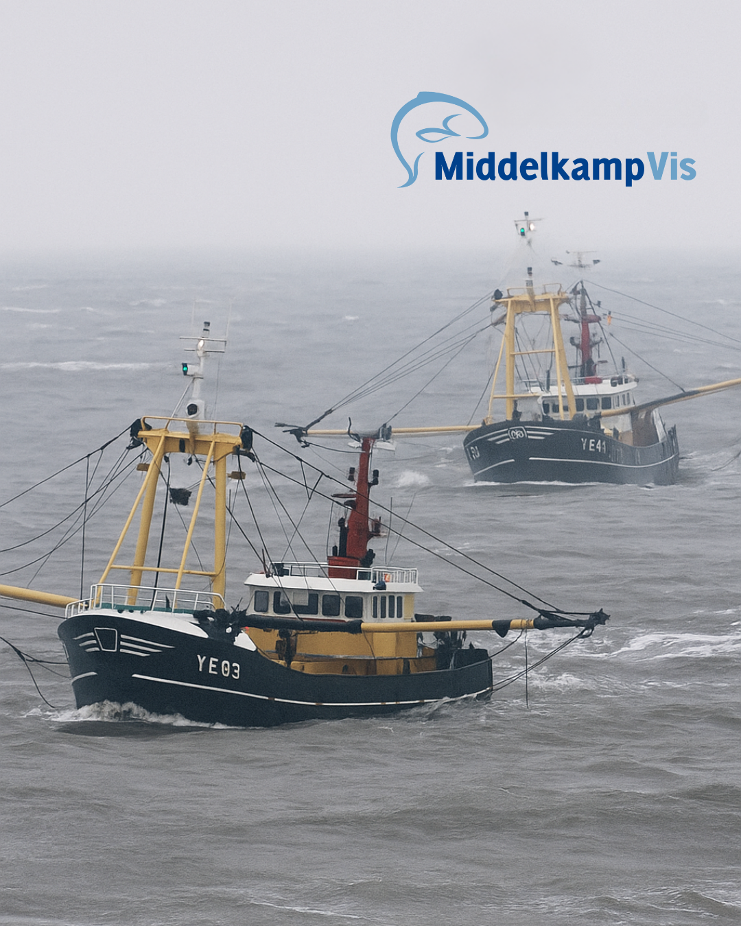 Noordzeevis in het seizoen: duurzaam, vers en vol smaak