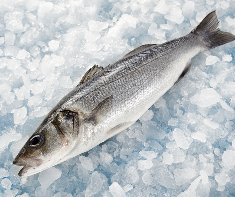 Zeebaars, Noordzee, Middelkamp vis, enschede, twente, verse vis,