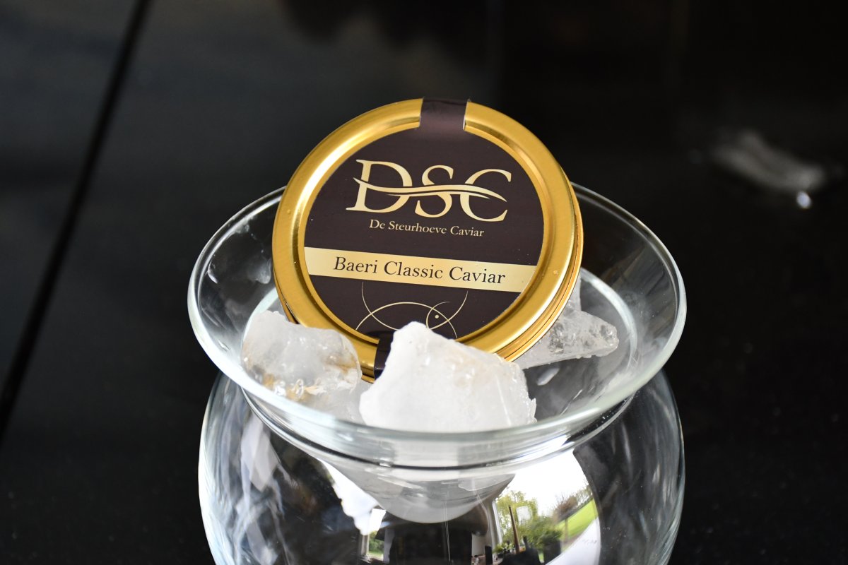 Puur genieten van Nederlandse steurkaviaar