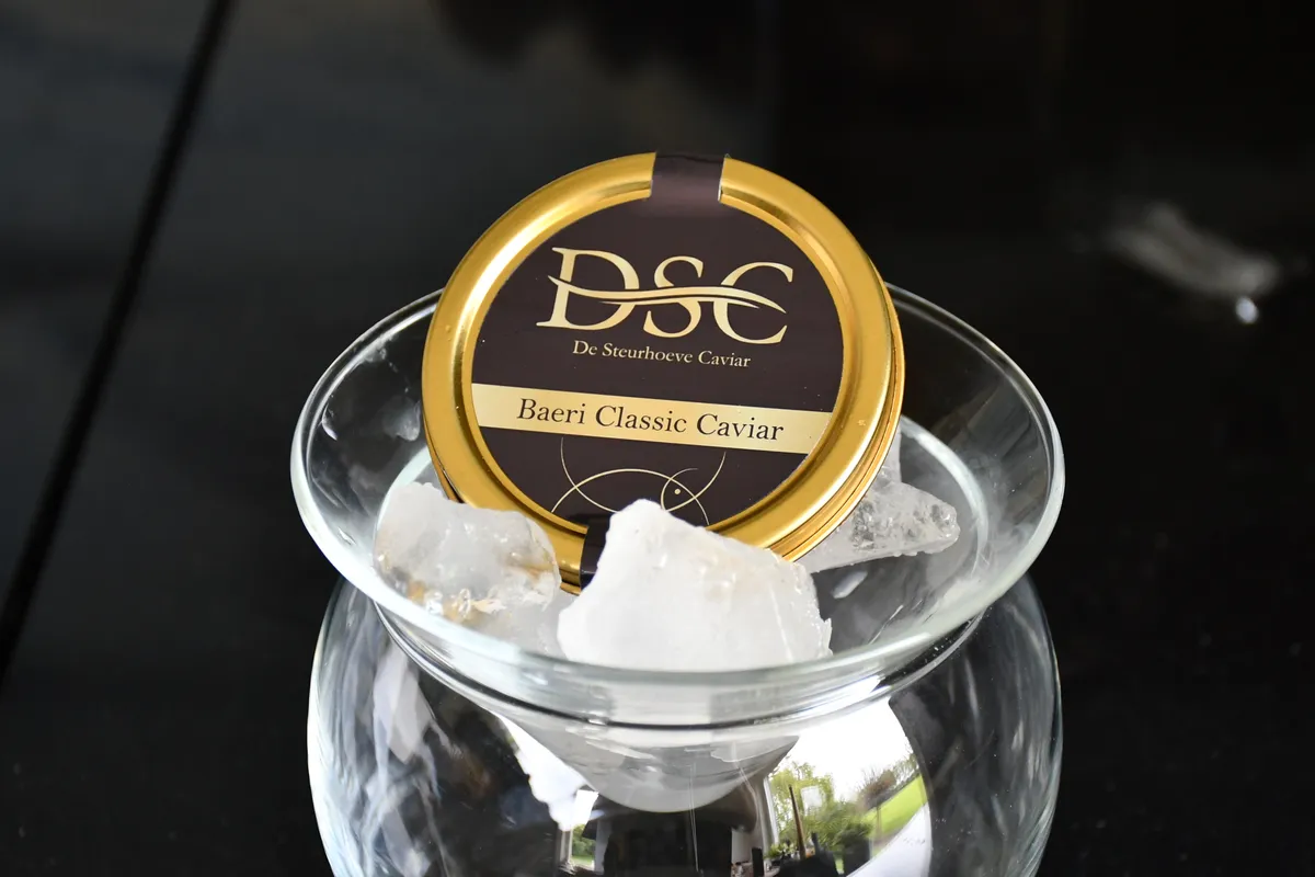 Puur genieten van Nederlandse steurkaviaar
