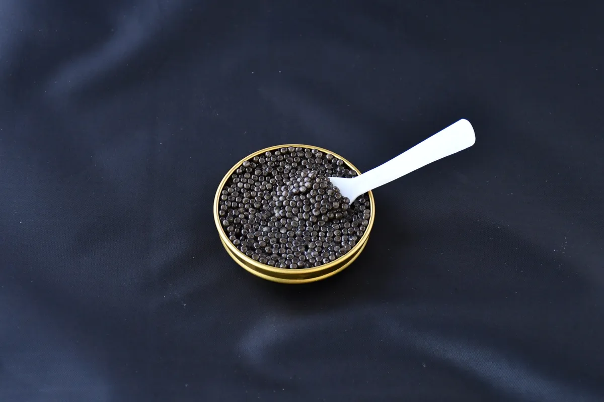 Baeri classic caviar